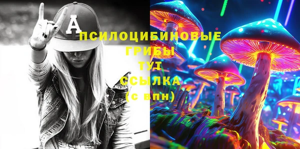 дурь Белокуриха