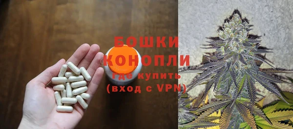 сатива Нея